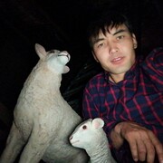  ,   , 29 ,   ,   , c 