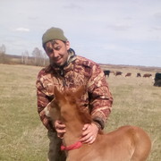 ���������� ���, ���� ������� ������, 38 ���, ������������ ��� ������, ����� � ���������, c�������� ���������