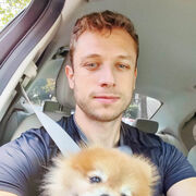 ���������� ������������, ���� ������� �������, 36 ���, ������������ ��� ����� � ���������, c�������� ���������