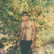  ,   , 33 ,  