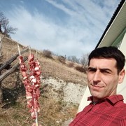  ,  Gogi, 37
