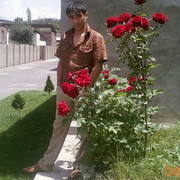 ���������� ������, ���� ������� DAVO, 34 ����, ������������ ��� ������, ����� � ���������, c�������� ���������