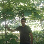  -,   DilshoD, 43 ,   ,   
