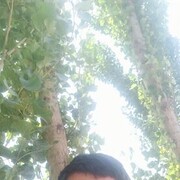 ���������� ������, ���� ������� ��������, 43 ����, ������������ ��� ������, ����� � ���������