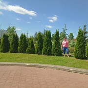 ���������� �����, ���� ������� �������, 39 ���, ������������ ��� ����� � ���������, c�������� ���������