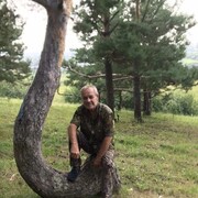  ,   , 62 ,   ,   