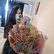  ,  , 26