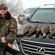 ���������� ���������, ���� ������� �������, 40 ���, ������������ ��� ������, ����� � ���������, c�������� ���������, ���������