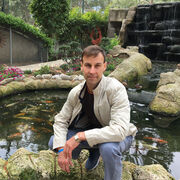 ���������� �����, ���� ������� ���������, 38 ���, ������������ ��� ����� � ���������, c�������� ���������