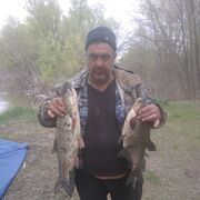 ���������� ���������, ���� ������� ������������, 50 ���, ������������ ��� ����� � ���������, c�������� ���������, ���������