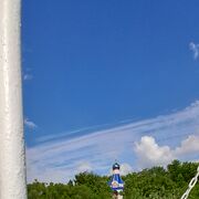 ���������� ���������, ���� ������� �������, 37 ���, ������������ 