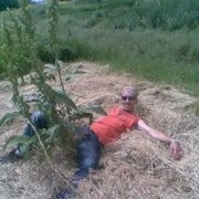 ���������� ��������������, ���� ������� ���������, 49 ���, ������������ ��� ������