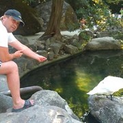 ���������� ��������������, ���� ������� ���������, 51 ���, ������������ ��� ������