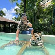 ���������� ������, ���� ������� ������, 38 ���, ������������ ��� ����� � ���������, c�������� ���������