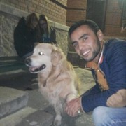  -,   , 34 ,   ,   , c 