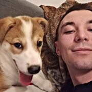 ���������� �����-���������, ���� ������� �����, 26 ���, ������������ ��� ������, ����� � ���������, c�������� ���������