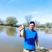 ���������� ����������, ���� ������� ������, 38 ���, ������������ ��� ����� � ���������, c�������� ���������