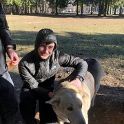 ���������� ����������, ���� ����� ������, 25 ���, ������������ ��� ������, ����� � ���������