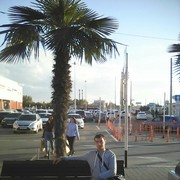 ���������� ��������, ���� ������� ������, 36 ���, ������������ ��� ������, ����� � ���������, c�������� ���������