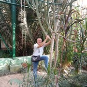 ,   , 54 ,   c 