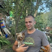 ���������� �������, ������� ������, 41