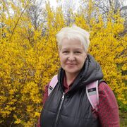 ���������� ������, ���� ������� ����, 57 ���, ������������ ��� c�������� ���������