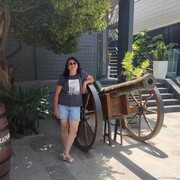  ,   , 48 ,   ,   , 