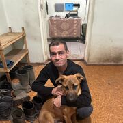  ,   , 51 ,   ,   