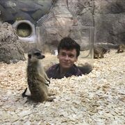  -,   , 31 ,   c 