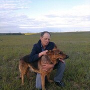  ,   , 61 ,  