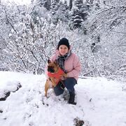  ,   , 52 ,     , c , 