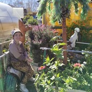 ���������� ��������, ���� ������� ���, 46 ���, ������������ ��� c�������� ���������, ���������