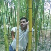  ,   Mamuka, 44 ,   