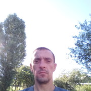  ,   , 41 ,  