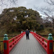 ���������� ����������, ���� ������� ������, 50 ���, ������������ ��� ������, ����� � ���������, c�������� ���������