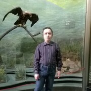  ,   , 45 ,   