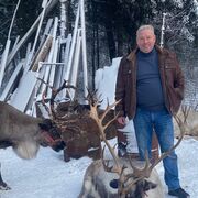 ���������� ������, ���� ������� �������, 53 ����, ������������ ��� ������, ����� � ���������, c�������� ���������, ���������