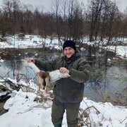 ���������� ������, ���� ������� �������, 36 ���, ������������ ��� ������, ����� � ���������