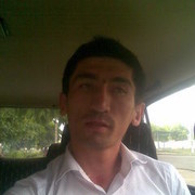  ,   Shavkat, 37 ,     , c 