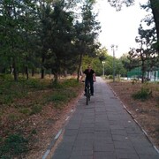  ,   , 42 ,   ,   