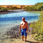 ���������� �������, ���� ������� Vikont, 60 ���, ������������ ��� ������, ����� � ���������, c�������� ���������