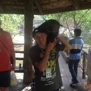 ���������� ������-��-����, ���� ������� ������, 48 ���, ������������ ��� ����� � ���������, c�������� ���������