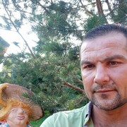  ,   , 44 ,   ,   