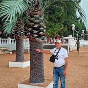  ,   , 55 ,   ,   