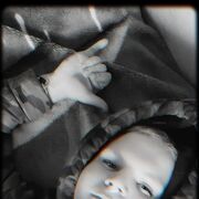 ���������� �����-���������, ���� ����� �������, 23 ����, ������������ ��� ������, ����� � ���������, c�������� ���������, ���������