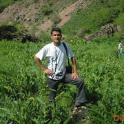  ,   Daler, 42 ,   ,   , c 
