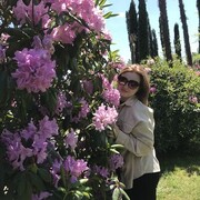 ���������� ���������, ���� ������� ����, 27 ���, ������������ ��� ������, ����� � ���������, c�������� ���������, ���������