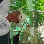 ���������� ����������, ���� ������� ��������, 49 ���, ������������ ��� ����� � ���������, c�������� ���������