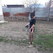 ���������� ������, ���� ������� ������, 24 ����, ������������ ��� ������, ����� � ���������, c�������� ���������