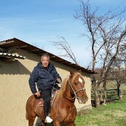  ,   York, 48 ,   